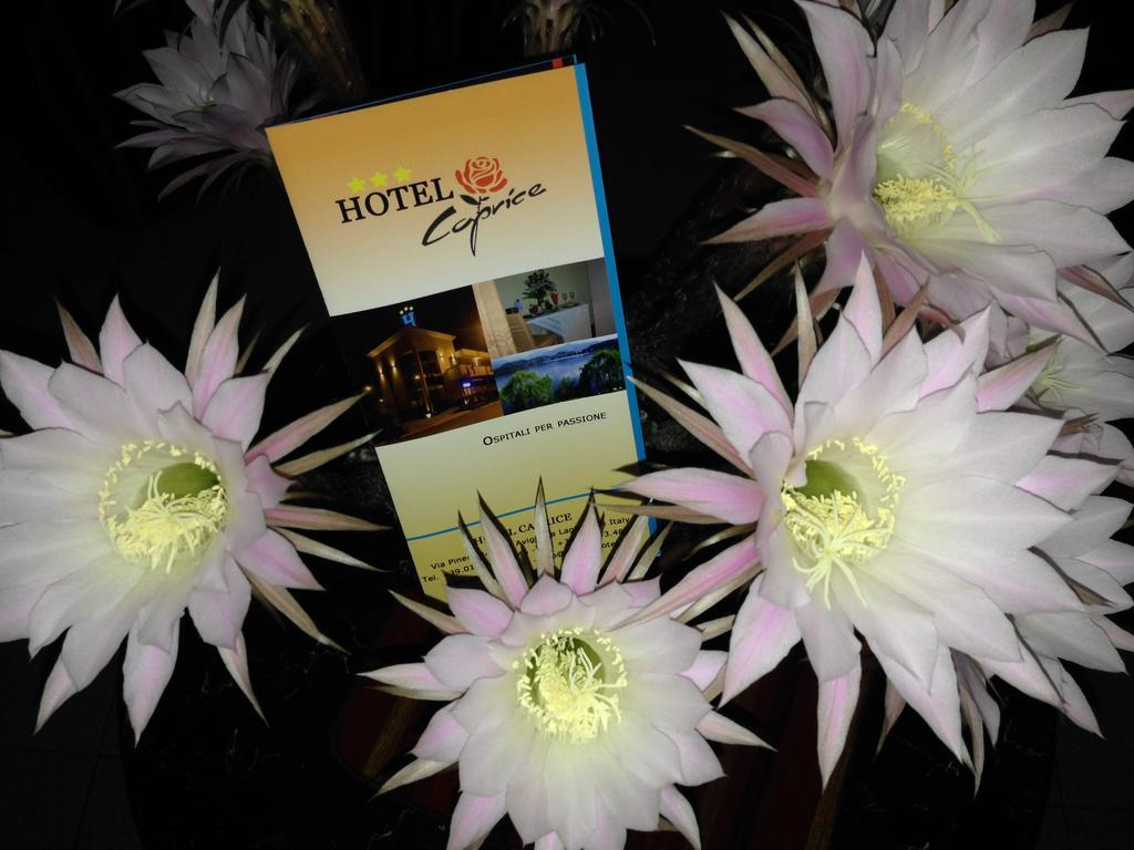 Caprice Hotell Avigliana Exteriör bild